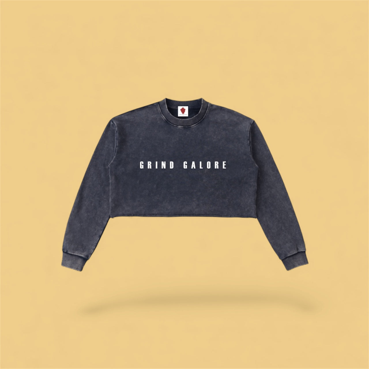 Women’s Snow Washed Cropped Sweatshirt
