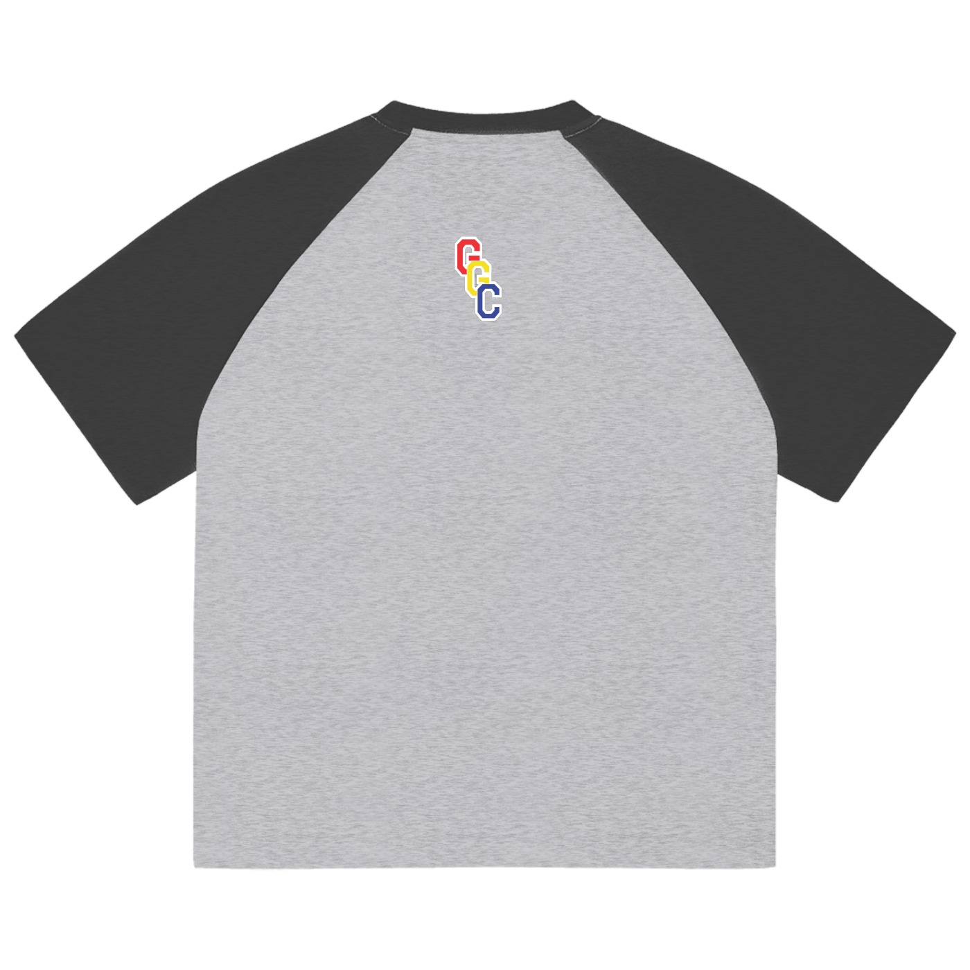 Color-Blocked Raglan Sleeve T-Shirt