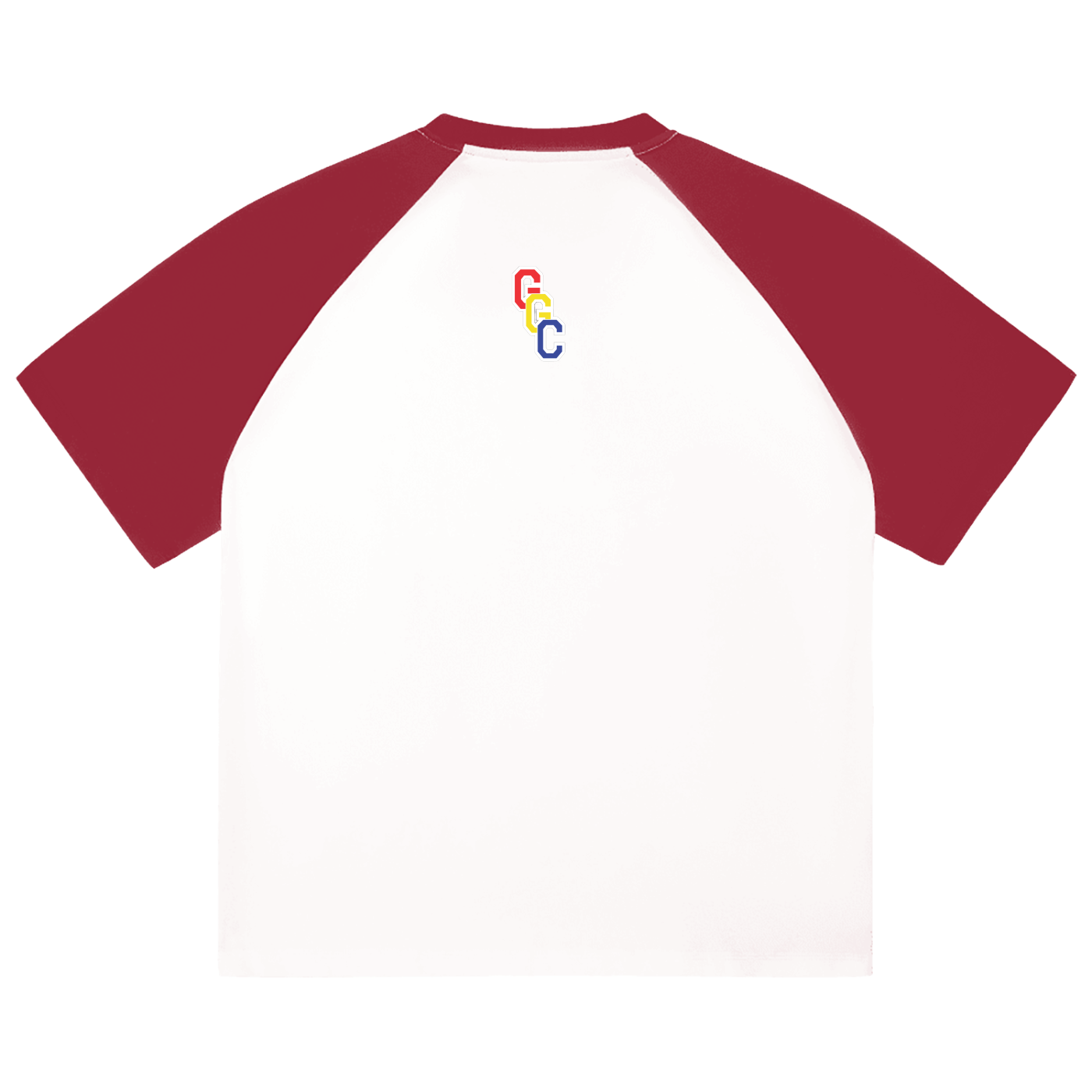 Color-Blocked Raglan Sleeve T-Shirt